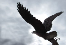 LCHS During the Pandemic