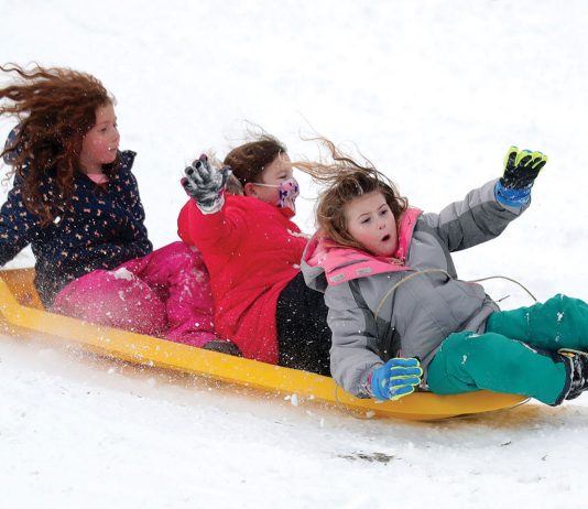Sledding & Skating at Osmond Park