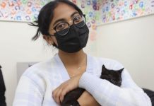 Pawz 4 Change Fluffy Fiesta