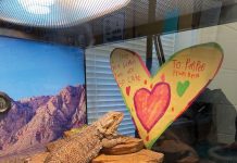 New 1st Grade Addition