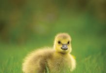 Look out…it’s Spring!