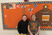 All Four LVD41 Schools Achieve Lighthouse Status!